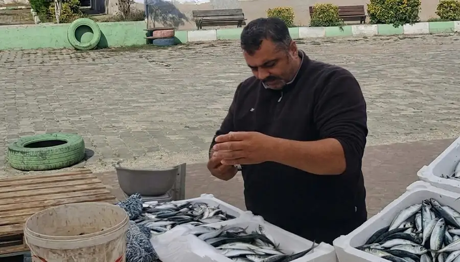 Mudanya Balık Satışı